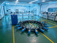 Casse-pieux hydraulique haute vitesse pour l'élimination des têtes de pieux de colonnes de bâtiment