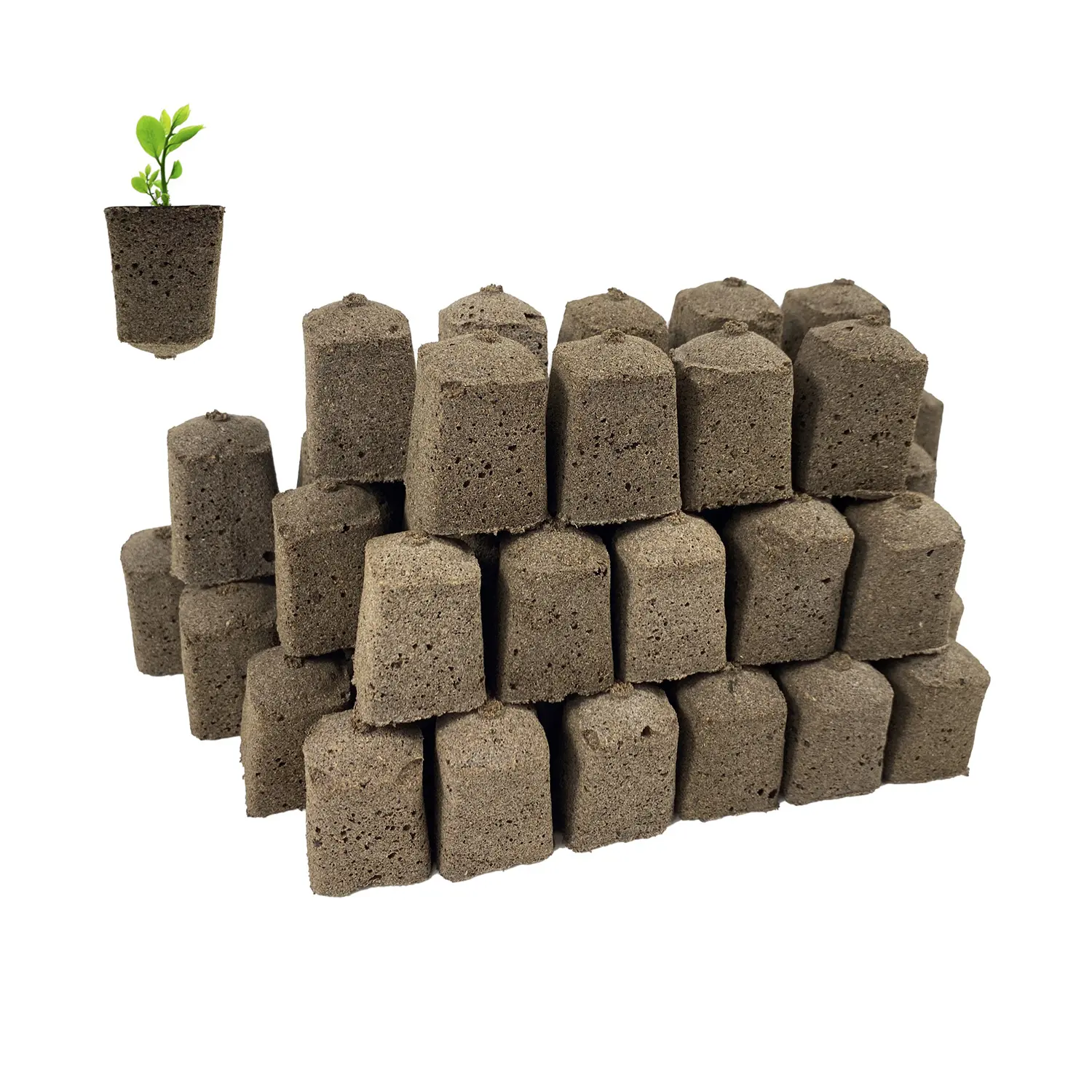 Ersatz Grow Sponge Seed Pods 1 Zoll breit 1,5 Zoll High Seed Starter Plug Passend für Garden Hydro ponics Growing System