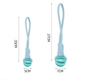 ของเล่นเชือกไนลอนรูปแตงโมสำหรับสุนัข Lynpet ทนทานต่อการกัด ช่วยทำความสะอาดฟัน ป้องกันการรั่วซึม ปลอดภัยสำหรับลูกสุนัข - Product Image 5