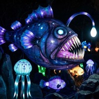 Decoración de Faroles con Forma de Animales Marinos para Parques de Atracciones, Uso en Interiores/Exteriores, Espectáculo de Luces para Parques Temáticos