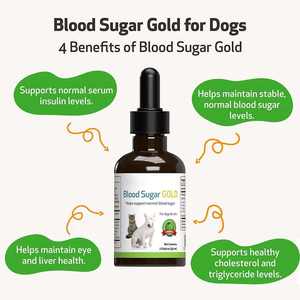Pet Health Care Supplements Gotas Líquidas De Açúcar No Sangue Ajuda A Manter Níveis Sanguíneos Normais Estáveis Saúde Do Fígado Dos Olhos - Product Image 4