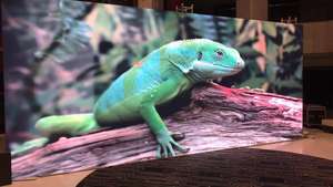 <span class=keywords><strong>HD</strong></span> tam renkli standart su geçirmez kabin smd3528 led <span class=keywords><strong>xx</strong></span> hayvan <span class=keywords><strong>video</strong></span> tüpü - Product Image 4