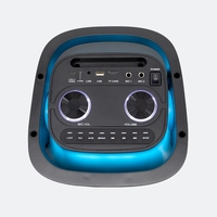Appareil audio portable pour fêtes en plein air avec un son puissant, lumières RGB changeantes de couleur, logo personnalisé imprimé