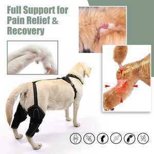 Attelle de genou réglable pour chien - Attelle de soutien de la ligament croisé antérieur (LCA) pour les pattes arrière des chiens |   Soulage les blessures des ligaments, les douleurs articulaires et la dysplasie de la hanche - Product Image 3