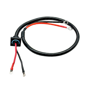 Custom 2-Core Ac Power Cord With Sr Tail Connector For Electric Golf Cart 10A <b>Pvc</b> Wire Sjtow Type C20 End - Product Image 2