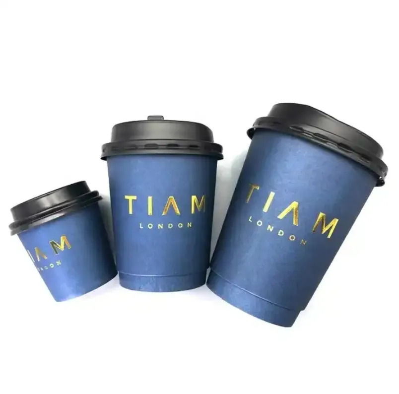 Copo de papel descartável biodegradável para café quente e frio com tampa, com logotipo personalizado, parede dupla de 6 onças e 12 onças, com impressão personalizada por atacado