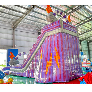 Outdoor Fun 18 OZ PVC Inflatable Jumping Bouncer Commercial Bounce House Combo Purple Inflatable Water <b>Slide</b> for Party Rental - Product Image 6