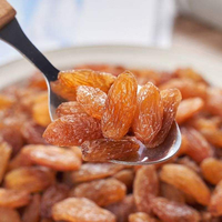Fournisseur chinois en gros de raisins rouges séchés pour la décoration, fraîchement préparés, de haute qualité, disponibles en vrac