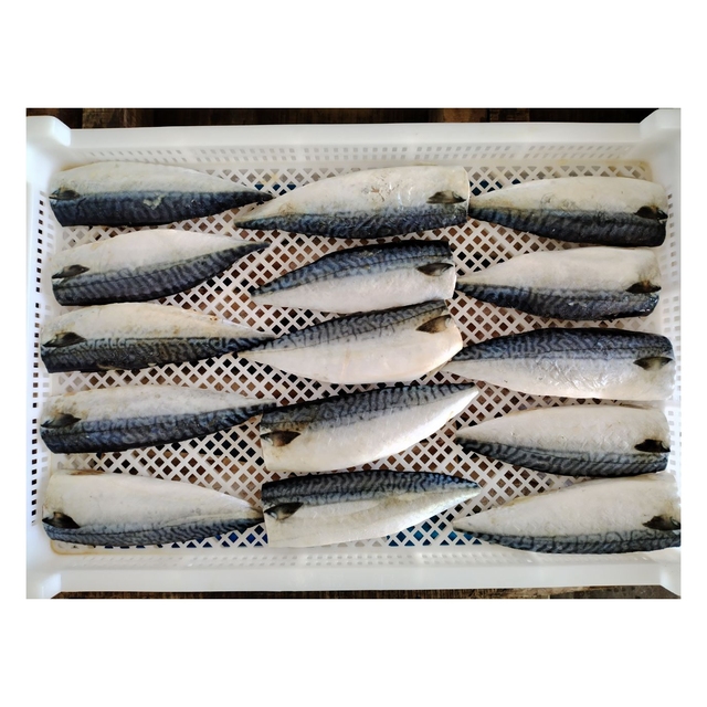 X 2251 Frozen Mackerel Fillet Fish High Quality Factory Frozen Pacific Mackerel Fillets 100-200g