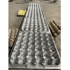 Nouvelles idées pour les machines de recyclage des déchets des petites entreprises prix de la machine à plateau d'œufs entièrement automatique - Product Image 5