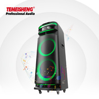 Module d'amplificateur de sonorisation actif rechargeable Temeisheng 300W avec prise en charge de carte mémoire, woofer et lumière disco RVB clignotante