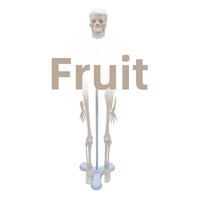 Modèle squelettique personnalisé de 45 cm pour l'enseignement médical : collection d'anatomie de la colonne vertébrale, de la bassine, des membres, des mains et des pieds