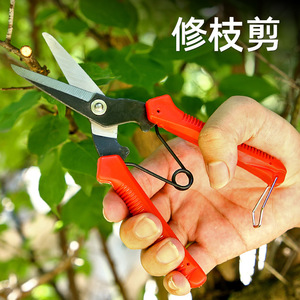 Thickened Black Fruit Picking Pruning <b>Shears</b> Stainless Steel Red Handle 10-20mm Trimming Diameter Garden <b>Tool</b> - Product Image 2