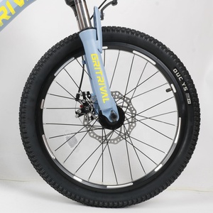 Bicicleta Infantil para Niños de 2 a 5 Años, Nuevo Modelo, Cuadro de Acero de 16-20 Pulgadas, Llanta de Aleación de Aluminio, Frenos de Disco para Niñas y Niños - Product Image 3