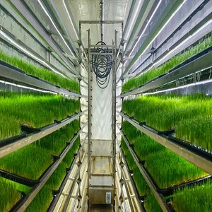 Système de plantation hydroponique commercial d'intérieur pour la croissance des microgreens et du fourrage avec circulation automatique de l'eau - Product Image 2