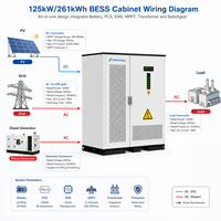 Armoire de stockage solaire industrielle SMS 125kW 261kWh LiFePO4, prête pour générateur diesel, refroidissement liquide, ESS IP65 pour sites C et I