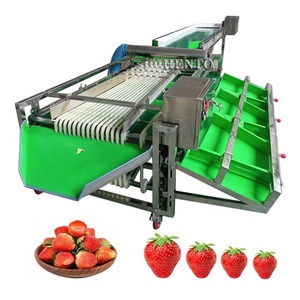 <span class=keywords><strong>Precio</strong></span> de fábrica Máquina de clasificación de rodillos de Frutas/Máquina clasificadora de cerezas/Máquina clasificadora de tomates - Product Image 5