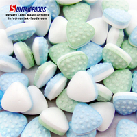 Bonbons à la menthe sans sucre Confiserie Comprimés de vitamine C en vrac Bonbons sans sucre comprimés OEM ODM Usine