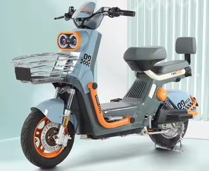 Bicicleta Eléctrica Urbana DF 2024 Nueva al por Mayor, 800W, con Canasta, a la Moda - Product Image 1