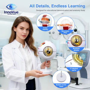 Modèle d'anatomie de l'œil artificiel InnoVue IE-02 - Équipement pédagogique d'optométrie pour opticiens et enseignants en sciences de la vue - Product Image 5