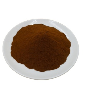 Extracto de <span class=keywords><strong>Areca</strong></span> <span class=keywords><strong>Catechu</strong></span> Halal en Polvo - Product Image 1