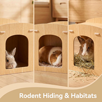Maisonnette en bois naturel à deux étages pour cochon d'Inde, abri pour petits animaux, cabane pour lapin, décoration de cage