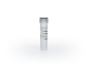 Kit de Preparación de Plásmidos de Alta Calidad, Gran Venta para Investigación - Product Image 3