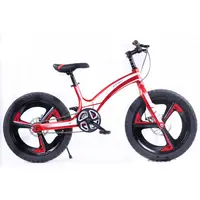 Mag 휠 어린이 자전거 핑크 밸런스 모터 10 세 소녀 사이클 어린이 자전거 핑크 스포츠 자전거