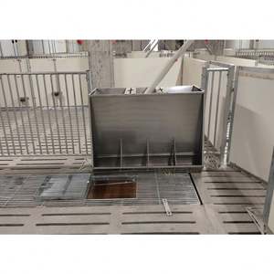 Venta al por mayor para granja de cerdos Alimentador automático de acero inoxidable de doble cara para cerdos - Product Image 4
