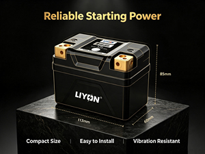 Nuova Pompa Freno a Disco Anteriore e Posteriore per Moto Elettrica <span class=keywords><strong>Kymco</strong></span> 12.8V 2AH LIKE180 <span class=keywords><strong>150</strong></span> con Batteria agli Ioni di Litio per Retrofit/Aggiornamento - Product Image 6
