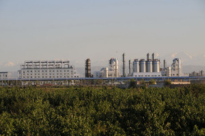 CDI 530-62-1/ 1,1 '-Carbonyl di imidazol CAS 530-62-1 - Product Image 2