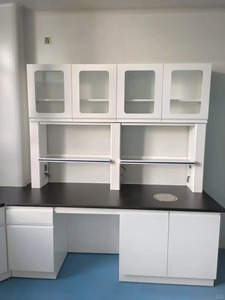 Thép không gỉ hiện đại chống ăn mòn phòng thí nghiệm Máy Trạm Tủ Epoxy sơn tĩnh điện kết thúc tường Tủ Thùng rác có thể cho - Product Image 2