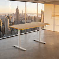 Bureau debout réglable de luxe haut de gamme à double moteur - Bureau électrique robuste pour bureau, maison et salle de jeux