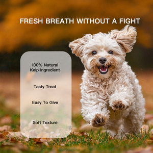 Masticables Dentales para Mascotas <span class=keywords><strong>de</strong></span> Grano Suave, Refuerzo Inmunológico, Limpieza Dental Segura y Saludable, Elimina el <span class=keywords><strong>Mal</strong></span> <span class=keywords><strong>Aliento</strong></span> para <span class=keywords><strong>Perros</strong></span> y Gatos - Product Image 3