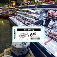 2,9'' Bluetooth 5.0 Smart ESL Tag Automatische Prijsupdate Elektronisch Schaplabel voor Supermarkt
