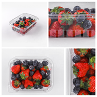 Kotak Kemasan Plastik Clamshell Murah untuk Buah Segar Stroberi dan Blueberry