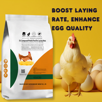 Aliment Composé pour Améliorer la Qualité des Œufs – Prémélange Avicole à Prix Compétitif, Idéal pour Poules Pondeuses – Aliment Composé pour Poulets Pondeurs