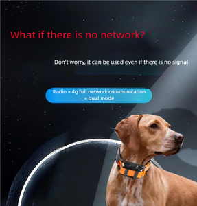 Gran oferta, dispositivo de seguimiento de <span class=keywords><strong>Radio</strong></span> de modo Dual avanzado, recargable, impermeable, <span class=keywords><strong>Collar</strong></span> rastreador de mascotas para perros y gatos, ubicación en tiempo Real - Product Image 3