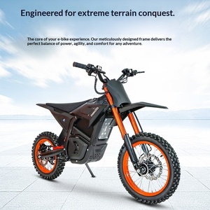Motocicletta Elettrica Fuoristrada per Giovani Modello D03, Alta Velocità 75 <span class=keywords><strong>km</strong></span>/h per Guida all'Aperto, Veicolo Compatto per Adulti - Product Image 3