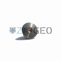 Konvexe flache ID 0,004 ''Wasserstrahl-Saphir-Rubin öffnung Ersetzen Sie 009519-4 20466257 203501-04 1-11226-004 1-21226-004 Wasserstrahl teil