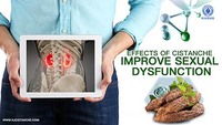 Cápsulas de Extracto de Cistanche Tubulosa 80% PhGs 35% Echinacoside 14% Acteoside Suplemento Independiente para la Salud Renal Eminente y Opulenta