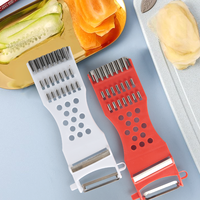 Éplucheur et râpe à ail multifonctionnel en acier inoxydable pour cuisine, outil manuel pour éplucher les fruits et légumes
