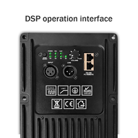 DSP, LLC anahtarlama gücü, devre donanım koruması, yeni ısı emici içeren D sınıfı 1300W 2 kanallı aktif modül