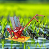 Transplanteur de riz manuel à 6 rangs, mini-machine, vente en gros d'usine, fabriqué en Chine