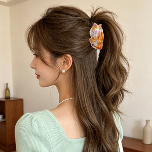 Nouvelle Pince à Cheveux Thème Chat en Cristal, Design Mignon de Chat <span class=keywords><strong>Persan</strong></span> Garfield de Dessin Animé, Pince Requin pour Chignon Arrière de la Tête, Faite à la Main pour Femme - Product Image 3