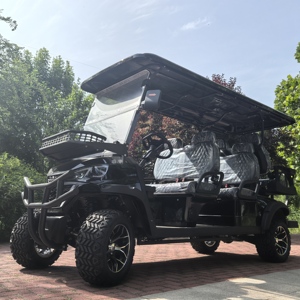 Carrito <span class=keywords><strong>de</strong></span> Golf Eléctrico <span class=keywords><strong>de</strong></span> Lujo para 4 Pasajeros, Asientos <span class=keywords><strong>de</strong></span> Cuero, Radio, para Villa u Hotel, Puede Conectar el Teléfono Móvil - Product Image 5