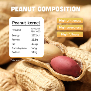 <span class=keywords><strong>2025</strong></span> nhà máy Giá hữu cơ rang đậu phộng hạt giòn & tươi khô phong cách Muối đậu phộng Snack lớp trong số lượng lớn - Product Image 6