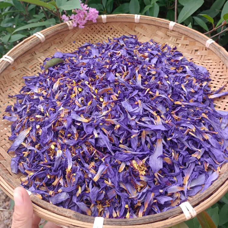 100% natural organic loose flower tea dreid blue lotus petals for sale