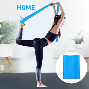 Gym Pull up Bandsカスタムロゴバンド抵抗バンドセットカスタム弾性運動ロングワークアウト - Product Image 4