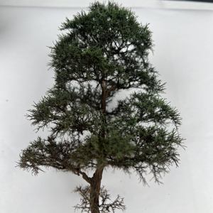 기차 풍경 모형 나무 - 디오라마 및 레이아웃 장식용 미니어처 와이어 장면 나무 - Product Image 4